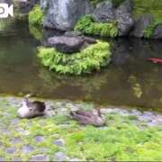 ヒメ日記 2025/05/06 09:18 投稿 みほ 池袋おかあさん