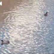 ヒメ日記 2025/05/20 08:06 投稿 みほ 池袋おかあさん