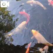 ヒメ日記 2025/05/20 21:50 投稿 みほ 池袋おかあさん