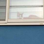 ヒメ日記 2025/05/22 21:55 投稿 みほ 池袋おかあさん