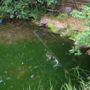 ヒメ日記 2025/05/24 23:02 投稿 みほ 池袋おかあさん