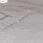 ヒメ日記 2025/05/27 10:14 投稿 みほ 池袋おかあさん