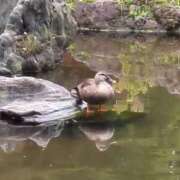 ヒメ日記 2025/06/05 08:17 投稿 みほ 池袋おかあさん