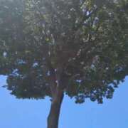 ヒメ日記 2025/06/22 22:44 投稿 みほ 池袋おかあさん