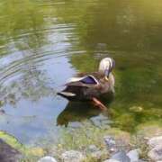 ヒメ日記 2025/07/01 22:34 投稿 みほ 池袋おかあさん