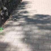 ヒメ日記 2025/08/06 22:44 投稿 みほ 池袋おかあさん