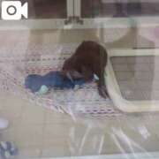 ヒメ日記 2025/08/10 23:14 投稿 みほ 池袋おかあさん