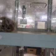 ヒメ日記 2025/08/12 22:34 投稿 みほ 池袋おかあさん