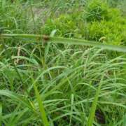 ヒメ日記 2025/09/16 10:53 投稿 みほ 池袋おかあさん