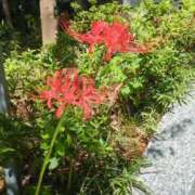 ヒメ日記 2025/09/25 22:23 投稿 みほ 池袋おかあさん