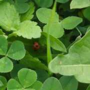 ヒメ日記 2025/10/20 21:44 投稿 みほ 池袋おかあさん