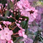 ヒメ日記 2025/12/09 20:14 投稿 みほ 池袋おかあさん