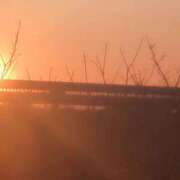 ヒメ日記 2026/03/09 20:44 投稿 みほ 池袋おかあさん