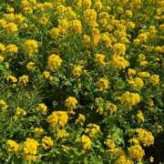 ヒメ日記 2026/03/18 08:55 投稿 みほ 池袋おかあさん