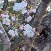 ヒメ日記 2026/03/21 22:37 投稿 みほ 池袋おかあさん