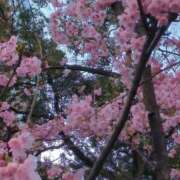 ヒメ日記 2026/03/27 09:44 投稿 みほ 池袋おかあさん