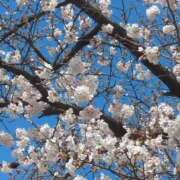 ヒメ日記 2026/03/28 09:51 投稿 みほ 池袋おかあさん