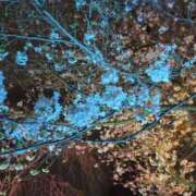 ヒメ日記 2026/03/28 22:47 投稿 みほ 池袋おかあさん