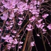 ヒメ日記 2026/04/02 22:34 投稿 みほ 池袋おかあさん