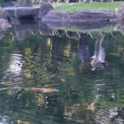 ヒメ日記 2026/05/20 08:24 投稿 みほ 池袋おかあさん
