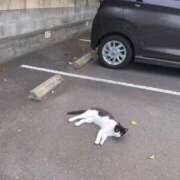 ヒメ日記 2026/07/16 10:34 投稿 みほ 池袋おかあさん