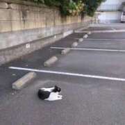 ヒメ日記 2026/07/21 15:14 投稿 みほ 池袋おかあさん