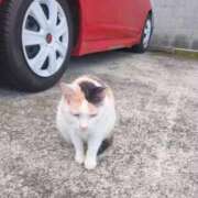 ヒメ日記 2026/09/08 10:34 投稿 みほ 池袋おかあさん
