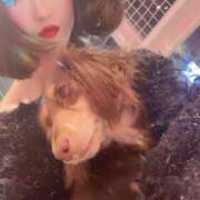 ヒメ日記 2025/02/23 06:36 投稿 ゆきね 熟女の風俗最終章 蒲田店