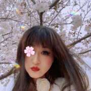 ヒメ日記 2025/05/17 08:00 投稿 ゆきね 熟女の風俗最終章 蒲田店