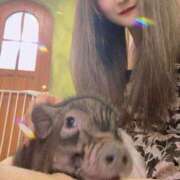 ヒメ日記 2025/05/28 03:00 投稿 ゆきね 熟女の風俗最終章 蒲田店