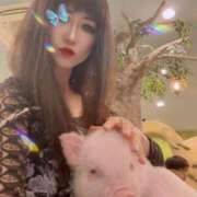 ヒメ日記 2025/07/19 14:50 投稿 ゆきね 熟女の風俗最終章 蒲田店