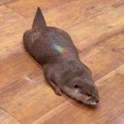 ヒメ日記 2025/09/23 00:20 投稿 ゆきね 熟女の風俗最終章 蒲田店