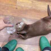 ヒメ日記 2025/09/23 14:50 投稿 ゆきね 熟女の風俗最終章 蒲田店