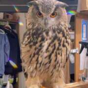 ヒメ日記 2025/10/21 08:00 投稿 ゆきね 熟女の風俗最終章 蒲田店