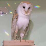 ヒメ日記 2025/10/23 06:50 投稿 ゆきね 熟女の風俗最終章 蒲田店