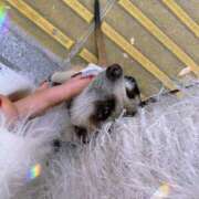 ヒメ日記 2025/11/01 15:01 投稿 ゆきね 熟女の風俗最終章 蒲田店