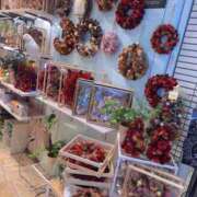 ヒメ日記 2025/11/06 16:50 投稿 ゆきね 熟女の風俗最終章 蒲田店