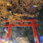 ヒメ日記 2025/11/25 09:01 投稿 ゆきね 熟女の風俗最終章 蒲田店