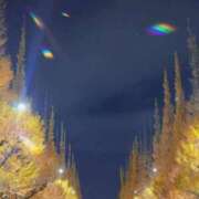 ヒメ日記 2025/11/26 16:50 投稿 ゆきね 熟女の風俗最終章 蒲田店