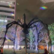 ヒメ日記 2025/12/29 20:20 投稿 ゆきね 熟女の風俗最終章 蒲田店