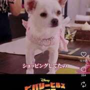 ヒメ日記 2026/02/13 13:50 投稿 ゆきね 熟女の風俗最終章 蒲田店