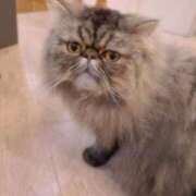 ヒメ日記 2026/02/24 08:20 投稿 ゆきね 熟女の風俗最終章 蒲田店