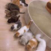 ヒメ日記 2026/02/27 20:50 投稿 ゆきね 熟女の風俗最終章 蒲田店