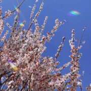 ヒメ日記 2026/03/01 15:00 投稿 ゆきね 熟女の風俗最終章 蒲田店