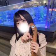 ヒメ日記 2025/04/18 14:23 投稿 葉月れいな JKリフレ東京 秋葉原本店