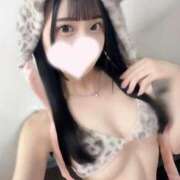 ヒメ日記 2025/05/31 13:56 投稿 葉月れいな JKリフレ東京 秋葉原本店