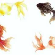 ヒメ日記 2025/05/26 07:49 投稿 鎌田 鶯谷デッドボール