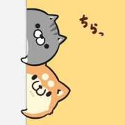 ヒメ日記 2026/02/02 13:41 投稿 鎌田 鶯谷デッドボール