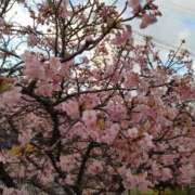 ヒメ日記 2026/02/20 17:38 投稿 鎌田 鶯谷デッドボール