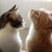 鎌田 最終日(*•̀ㅂ•́)و✧ 鶯谷デッドボール